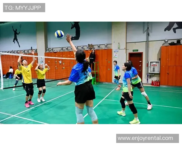 排球魅力无穷：深入了解上海排球队的灵活战术与团队精神