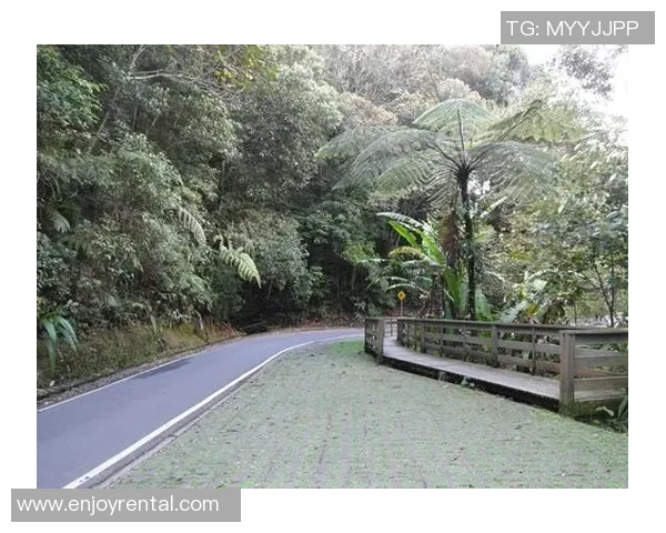 赵秀英亲述攀岩技巧与心得体会助你轻松征服高峰