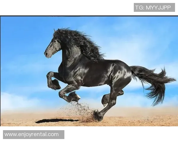 张成龙与百胜雷的巅峰对决谁能在这场较量中笑到最后